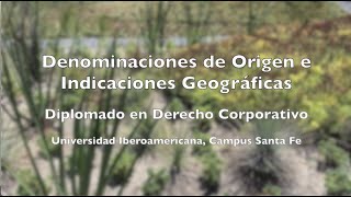 Denominaciones de Origen e Indicaciones Geográficas UIA 2019 [upl. by Calandra]