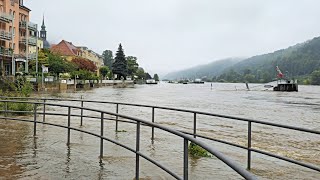 Hochwasser 2024 I Bad Schandau I Sächsische Schweiz I 1609 2024 [upl. by Langsdon30]