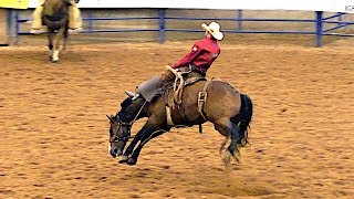 Ranch Broncs  2019 32nd Coors Cowboy Club Ranch Rodeo Saturday [upl. by Harlie]