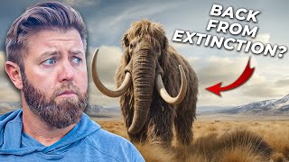 7 Extinct Animals That Could Actually Come Back [upl. by Leakcim515]