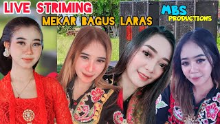 Ndolalak Mekar Bagus laras dangdutan [upl. by Sawyere898]