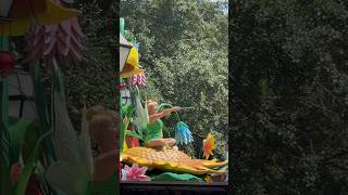 Tinker Bell and Smee Peter Pan Float Festival of Fantasy Parade Magic Kingdom disneyworld disney [upl. by Veronike]