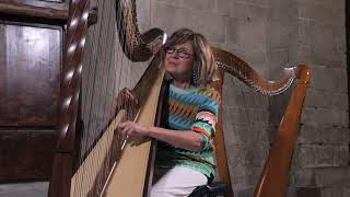 Hermeto Pascoal  Bebê  Harp arrangement by Susanna Bertuccioli [upl. by Stoneham]