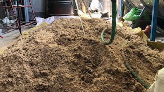 SAWDUST SUBSTRATE MIXING AND COMPOSTING FOR 21 DAYS  Part 2 mushroom sawdust substrate [upl. by Gabriel]