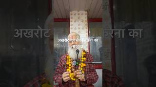 Guru ji ka gyan akhrot [upl. by Negiam]