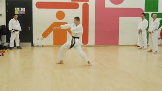 Heian Sandan Shotokan Karate Kata Training and Development  By Pavle [upl. by Pickar]