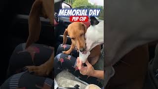 Memorial 🇺🇸 Day PupCup [upl. by Nertie]