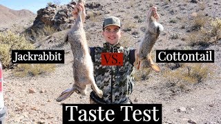 RABBIT HUNT Catch Clean Cook Taste Comparison [upl. by Attenohs854]