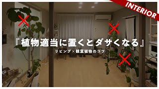 【植物を置くコツ】観葉植物を適当に置くとインテリアがダサくなる（視聴者アドバイス企画） [upl. by Ellenohs]