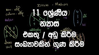 11 ශ්‍රේණිය  න්‍යාස  Grade 11 – Matrices Nyasa 1 [upl. by Mcclelland]