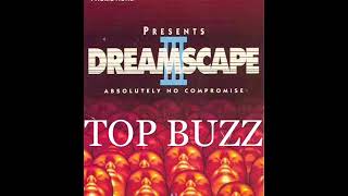 Top Buzz Mc Mad P  Dreamscape 3 April 10th 1992 [upl. by Melvina]