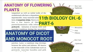 Class 11 BiologyCh6 Part6Anatomy of Dicot amp Monocot RootStudy with Farru [upl. by Timothy]