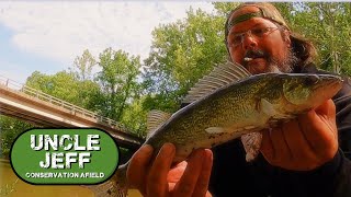 KOKOMO SPILLWAY WALLEYE SLAM [upl. by Jandy]