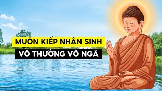 Muôn Kiếp Nhân Sinh  Vô Thường Vô Ngã Duyên Sinh [upl. by Hanfurd]