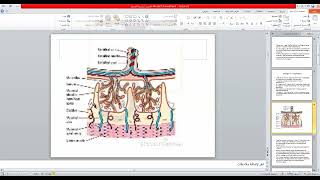 Embryology 7th Lec  Placenta amp Fetal Membranes By DrTara [upl. by Ainotal]