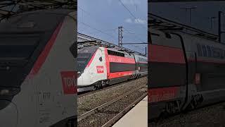 TGV Lyria and TER cross at Gare de Saint Louis [upl. by Otreblada]