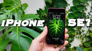 iPhone SE 2022 có còn hợp lý [upl. by Dor]