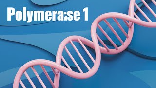 DNA Polymerase The Unsung Hero of Genetics DNApolymerase [upl. by Iggam]