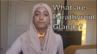 What are Parathyroid Glands [upl. by Anirahtak]