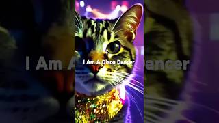 I am a disco dancer remix [upl. by Aicina937]