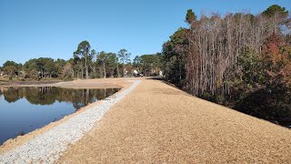 Dressing Up Seeding And Strawing The 9 Acre Pond Dam [upl. by Okiram]