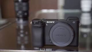 SONY a6000 vs a6300 AF TEST [upl. by Gainor]