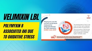 Velimixin LBL on Polymyxin B associated AKI due to Oxidative stress [upl. by Bobine]