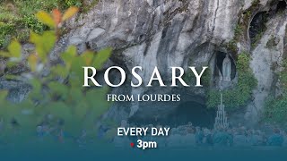 Rosary from Lourdes  27122023 [upl. by Suqram]