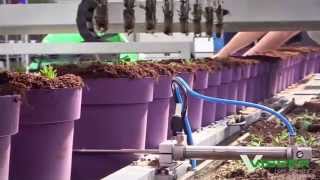 Visser Horti Systems  Pic O Mat Greenline for Pot Plants [upl. by Nyrrek107]