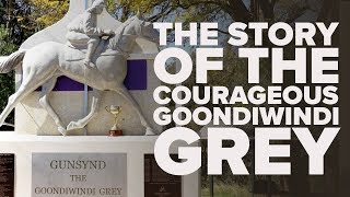 THE GOONDIWINDI GREY  Gunsynd [upl. by Halona]