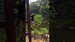 Rope walk at Thenmala ecotourism adventure zone [upl. by Yelkao]