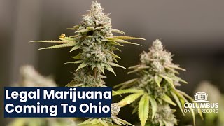 Coming Soon to Ohio – Legal Pot [upl. by Aura]