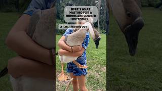 Hurricane Milton Update from a Tampa FL Family [upl. by Aisayn]