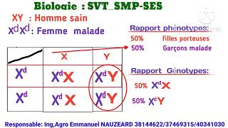 Texte modèle Biologie SVTSMPSES Daltonisme 2024 [upl. by Gehman]