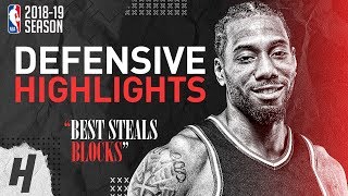 Kawhi Leonard BEST Defensive Highlights from 201819 NBA Season amp Playoffs [upl. by Accire716]