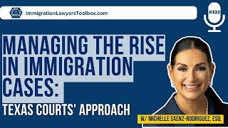 Managing The Rise In Immigration Cases Texas Courts Approach [upl. by Mary]