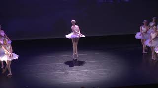 Odette Swan Lake 2017 [upl. by Niamert]