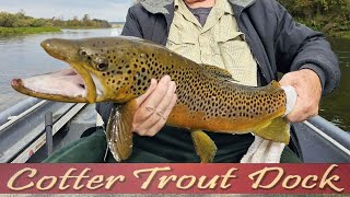 October 25 2023 Arkansas Trout Fishing Report [upl. by Stacie]