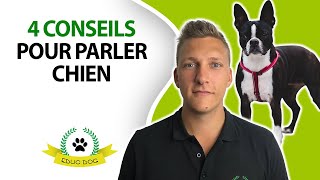 Parler chien  4 conseils pour bien communiquer avec votre chien [upl. by Gerrilee]