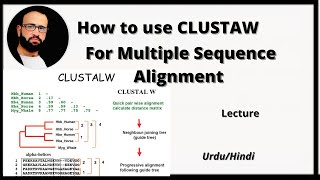 How to use clustalw for Multiple sequence Alignment UrduHindi [upl. by Stacey]