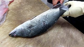 The easiest and fastest way to clean sea bass at home with a kitchen knife [upl. by Zel]