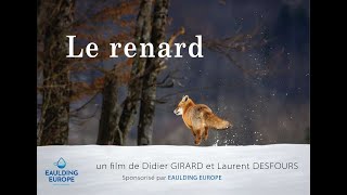 LE RENARD  Film officiel 2022  en lien avec le projet 2024 du film quotLHomme et le renardquot [upl. by Georgeanne]