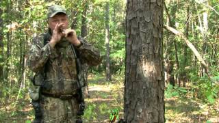 How To Call Deer In Early Season Eddie Salter [upl. by Corabelle883]