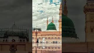 Moula ya sali wa Salim daiman  naat sharif  Islamic insight 💞  faithforword4 [upl. by Niki]