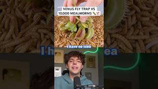 10000 Mealworms VS Plant 🫣🪱 [upl. by Wynny]