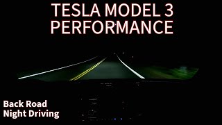 Back Road Night Driving Tesla Model 3 Performance  Track Mode [upl. by Kcirdde]