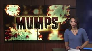 Mumps exposure at cheer competition [upl. by Ntsuj]