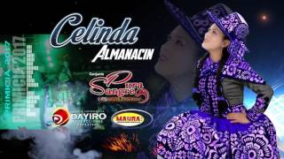 CELINDA ALMANACIN Primicia 2017♪♪Si lloras por mi♫♫ DAYIRO PRODUCCIONES [upl. by Ahsinahs]