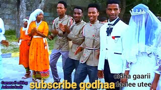 new oromo wedding sirba cidha afaan oromo haaraa daalee utee sirba cidha [upl. by Anileba]