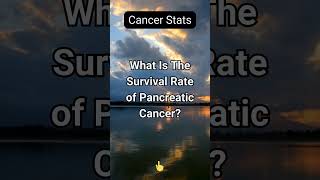 What Is The Survival Rate of Pancreatic Cancer [upl. by Edee]